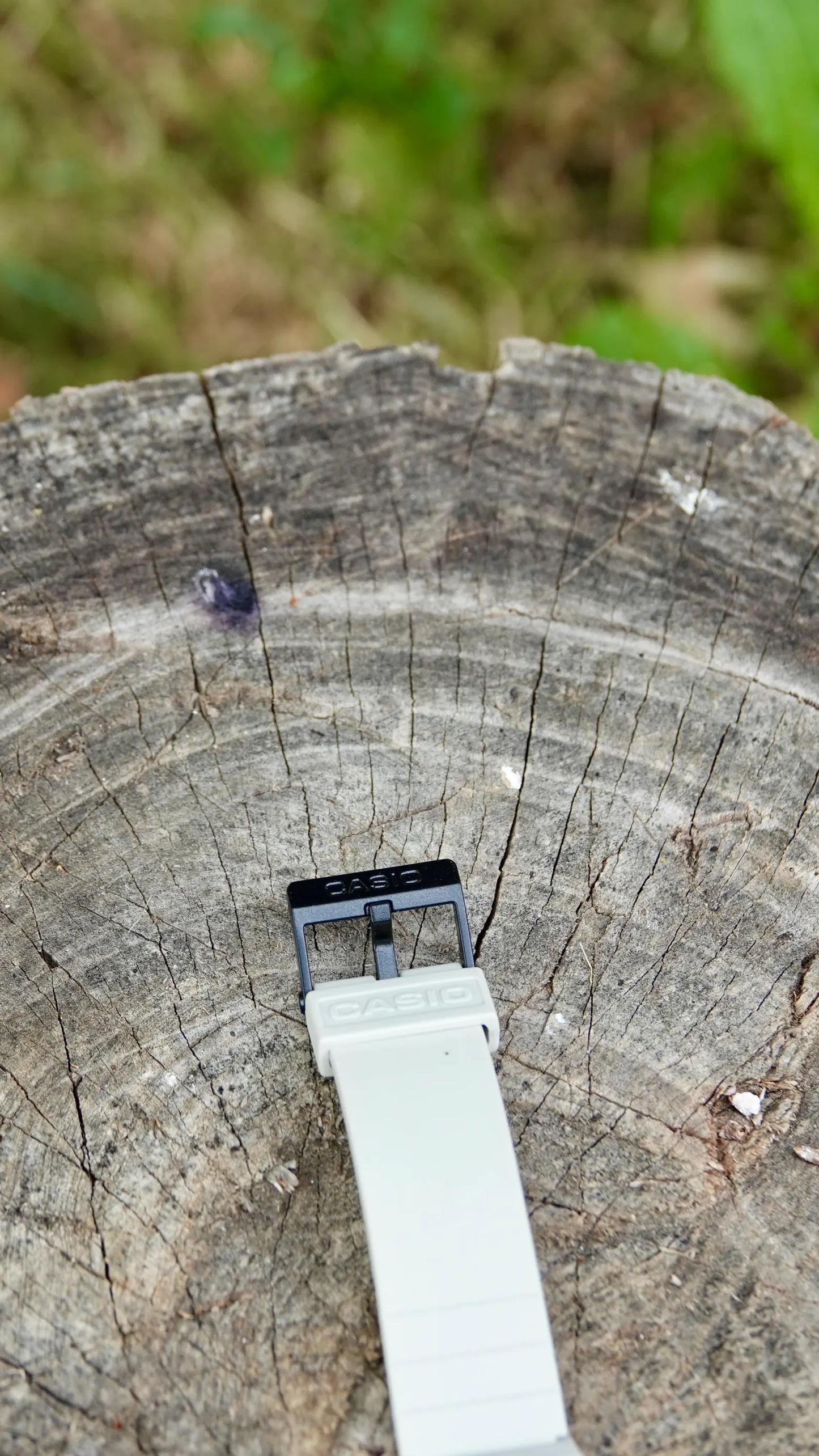 Blood Moon MQ-24 - Modified Casio Watch