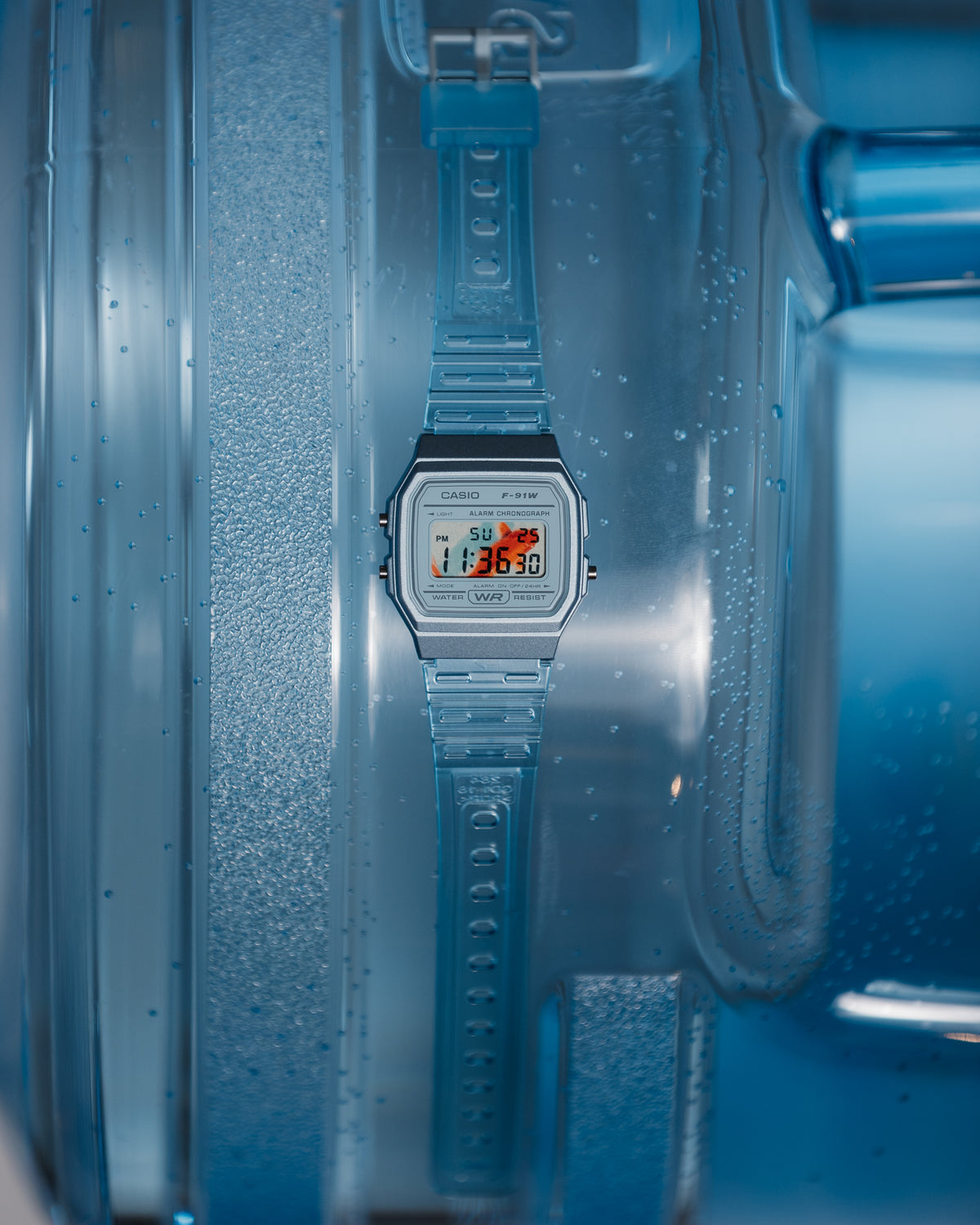 Koi aquarium F91 - Modified Casio Watch