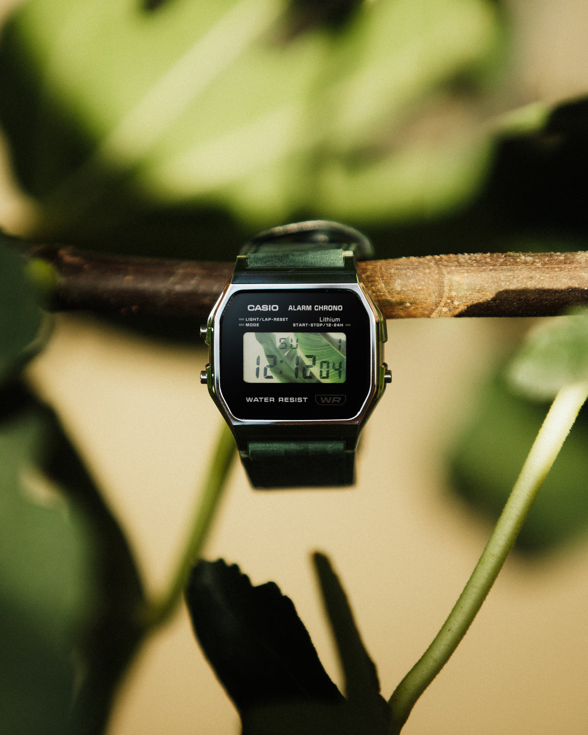Botanist A158 - Modified Casio Watch