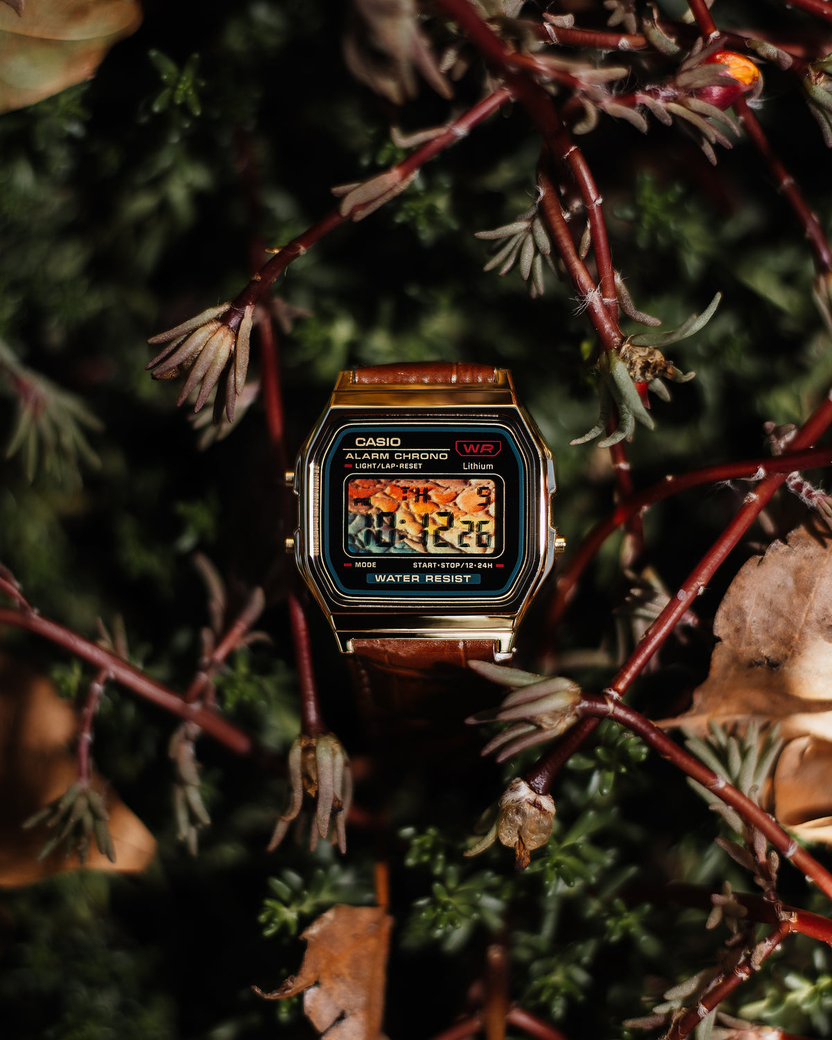 Golden Nugget A159 - Modified Casio Watch