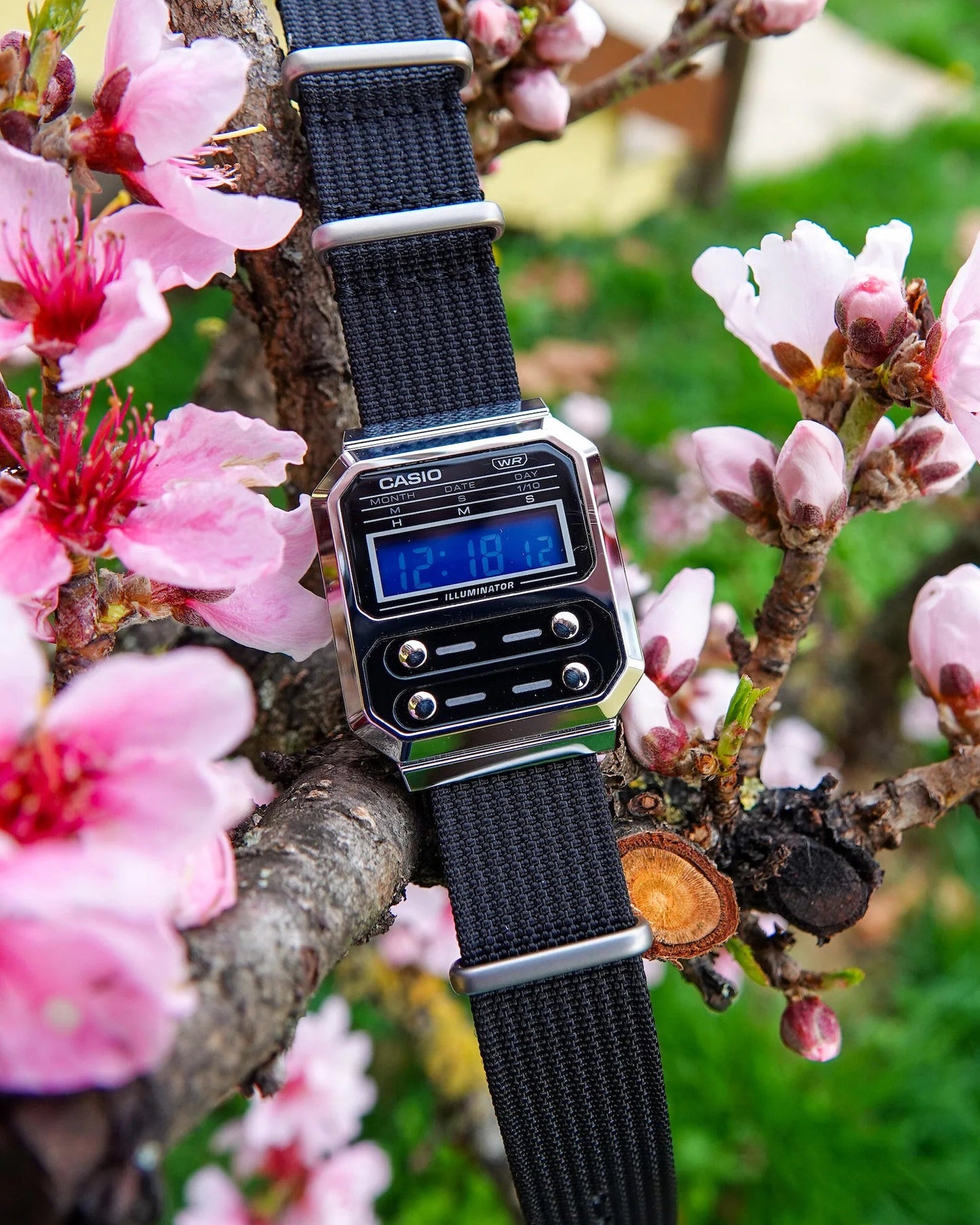 Blue Pill A100 - Modified Casio Watch