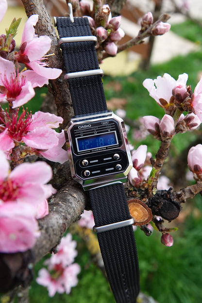 Blue Pill A100 - Modified Casio Watch