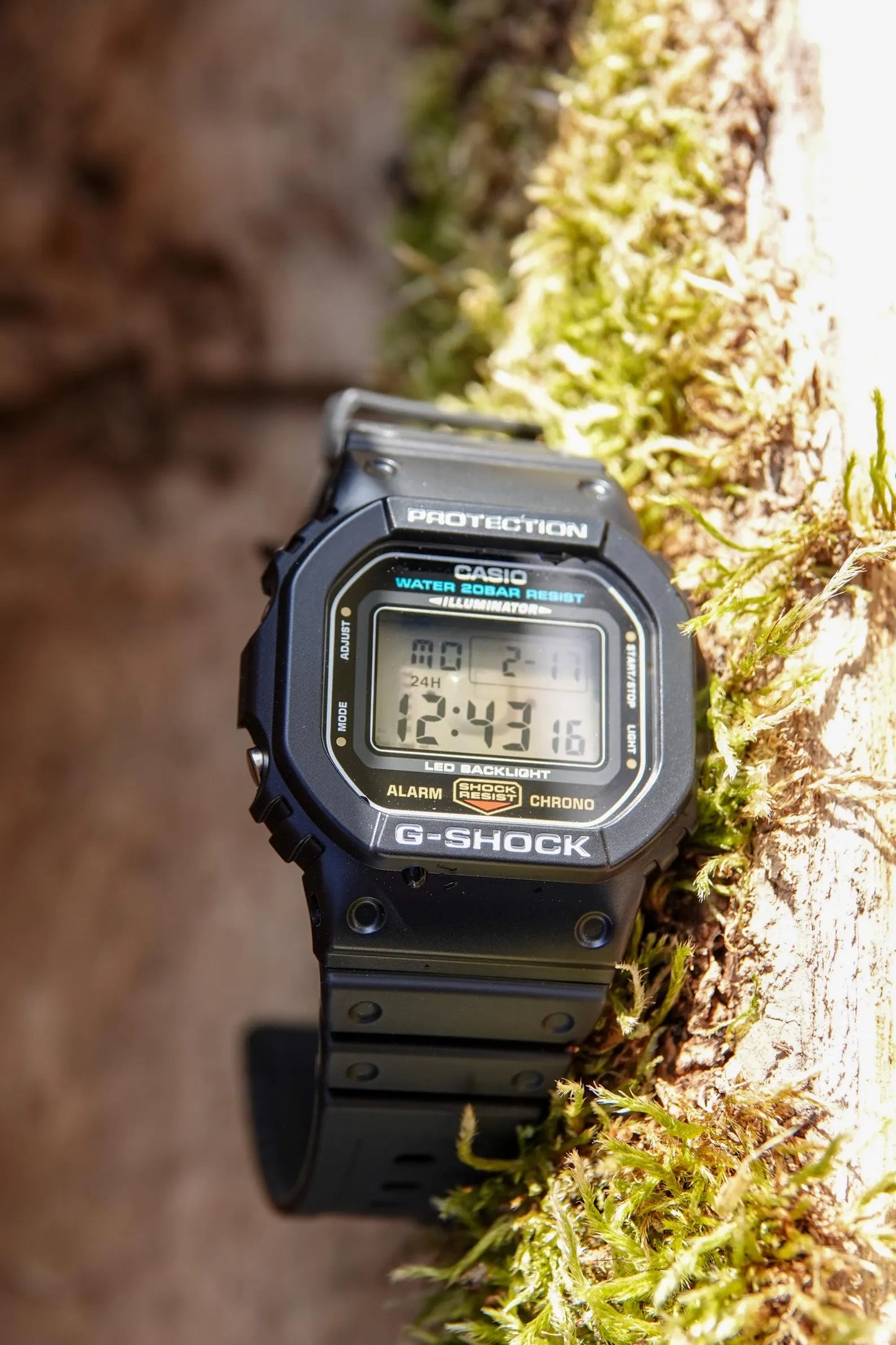 Ghost Clear DW-5600 - Modified G-Shock Watch