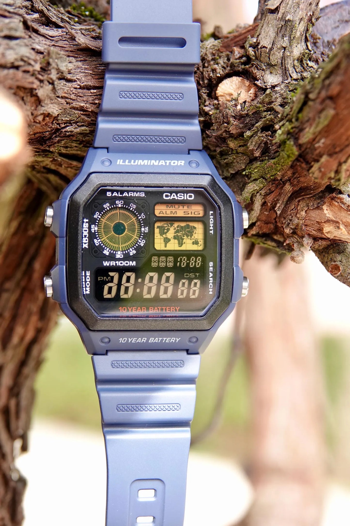 Shadow Blue Royale AE-1200 - Modified Casio Watch